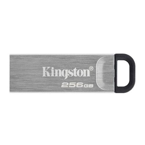 Карта памяти 256Гб Kingston Kyson  DTKN/256GB